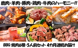 【ふるさと納税】定期便 4ヵ月連続4回 BBQ 焼肉 5人前セット 6種 各1 お肉 牛肉 豚肉 鶏肉 羊肉 鹿肉 肉 ジビエ ジンギスカン 味付き た