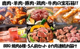 【ふるさと納税】【6カ月連続】エンジョイ！BBQセット　〜焼肉6種　5人前コース〜