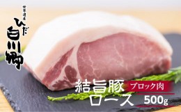 【ふるさと納税】結旨豚ロース ブロック肉 500g 塊肉 ローストポーク ステーキ トンカツ かつ 肉 豚肉 国産 ブランド豚 キャンプ 白川郷 