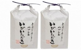 【ふるさと納税】定期便３ケ月【ＪＡいび川プレミアム米】いびいただき (白米3kg×2袋)×３ケ月