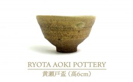 【ふるさと納税】【美濃焼】黄瀬戸盃（高6cm）【RYOTA AOKI POTTERY/青木良太】/ 陶芸家 [MCH249]