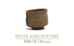 【ふるさと納税】【美濃焼】黄瀬戸盃（高6cm）【RYOTA AOKI POTTERY/青木良太】/ 陶芸家 [MCH251]