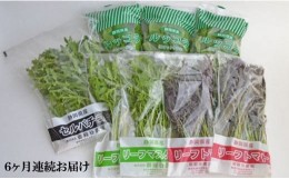 【ふるさと納税】定期便 6回 国産 ハーブ 野菜 詰め合わせ 約 450g 4種 8袋 セット × 6ヶ月 お届け ルッコラ 約 50g × 3袋 リーフトマ