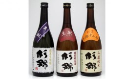 【ふるさと納税】日本酒 杉錦 飲み比べ 720ml 3本セットＣ 生? 山廃 純米 特別 大吟醸 地酒 静岡県 お酒 家飲み 宅飲み ギフト プレゼン