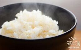 【ふるさと納税】003-7　いびつ家のお米（あきたこまち）10kg