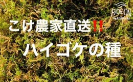 【ふるさと納税】123-8　こけ専門農家直送!!ハイゴケの種10L
