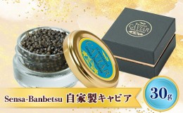 【ふるさと納税】Sensa-Banbetsu 自家製キャビア【1357449】