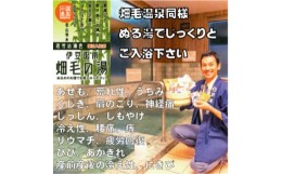 【ふるさと納税】＜薬用入浴剤＞伊豆函南畑毛の湯:畑毛温泉の成分そのままの「温泉の素」若竹の湯色10回分【1380547】