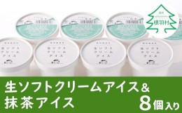 【ふるさと納税】生ソフトクリームアイス＆本格抹茶アイス 8個 5000円