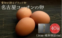 【ふるさと納税】☆名古屋コーチンの卵40個入り（36個+破卵保証4個）