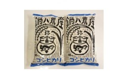 【ふるさと納税】愛知産弥富市産コシヒカリ10kg　2袋【1211644】