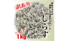 【ふるさと納税】訳あり 釜揚げ しらす 1kg 減塩 日間賀島 冷凍 丸豊 愛知県 南知多町 離乳食 魚 さかな ご飯 ごはん 国産 シラス ピザ 