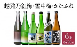 【ふるさと納税】越路乃紅梅・雪中梅・かたふね 720ml 6本セット｜雪中梅 かたふね  飲み比べ 越路乃紅梅 越路乃紅梅 お酒 日本酒 ふるさ