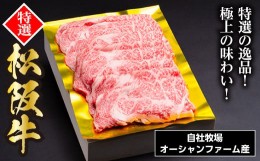 【ふるさと納税】SS01　松阪牛しゃぶしゃぶ用（特選ロース）　500ｇ／（冷凍）ギフト箱包装　瀬古食品　JGAP認定　松阪肉　名産　お取り