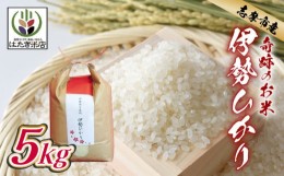 【ふるさと納税】伊勢奉祝 奇跡のお米 伊勢ひかり 5kg / お米 白米 精米 米 おすすめ 国産 三重県 志摩市 伊勢 志摩 