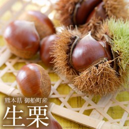 【ふるさと納税】生栗 熊本県御船町産限定 約2kg(2L-Lサイズ) 《9月上旬-9月末頃出荷》 送料無料 期間限定 野菜 予約 スイーツ きんとん 