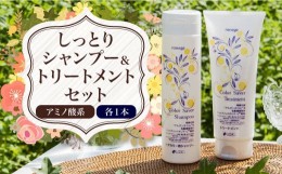 【ふるさと納税】アミノ酸系しっとりシャンプー＆トリートメントセット　アミノ酸 シャンプー トリートメント カラーセイバー　AK04