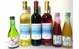 【ふるさと納税】BIWA・梅酒セット