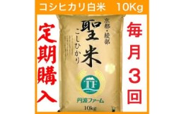 【ふるさと納税】【定期便3回・毎月1日お届け】京都府産コシヒカリ 白米 10kg×3回 定期便 お米 米 白米 精米 こしひかり 国産 京都 綾部