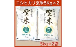 【ふるさと納税】京都府産コシヒカリ 「聖米」 玄米 10kg （5kg×2）お米 米 玄米 精米 こしひかり 国産 京都 綾部