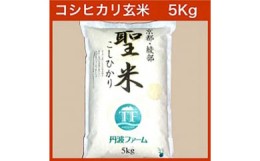 【ふるさと納税】京都府産コシヒカリ 「聖米」 玄米 5kg お米 米 玄米 精米 こしひかり 国産 京都 綾部