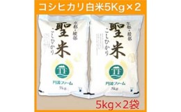 【ふるさと納税】京都府産 コシヒカリ 「聖米」 白米 10kg （5kg×2） お米 米 白米 精米 こしひかり 国産 京都 綾部