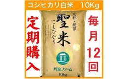 【ふるさと納税】【定期便12回・毎月15日お届け】京都府産コシヒカリ 白米 10kg×12回 定期便 お米 米 白米 精米 こしひかり 国産 京都 