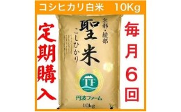 【ふるさと納税】【定期便6回・毎月15日お届け】京都府産コシヒカリ 白米 10kg×6回 半年 定期便 お米 米 白米 精米 こしひかり 国産 京