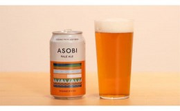 【ふるさと納税】【与謝野町産ホップ使用クラフトビール】ASOBI24本セット