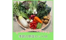 【ふるさと納税】季節の野菜セットM（約4kg）【 国産 旬 季節の野菜 詰め合わせ セット 農薬不使用 無農薬 産地直送 京野菜 京都 綾部 】