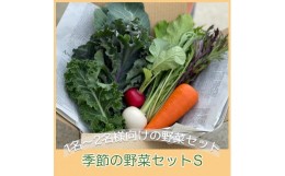 【ふるさと納税】季節の野菜セットS（約2kg） 【 国産 旬 季節の野菜 詰め合わせ セット 農薬不使用 無農薬 産地直送 京野菜 京都 綾部 