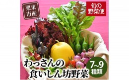 【ふるさと納税】和らぎ農法　わっさんの食いしん坊野菜　栗東市産　旬の野菜便