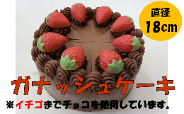 【ふるさと納税】ガナッシュホールケーキ 6号 スイーツ ケーキ チョコレート