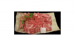 【ふるさと納税】京都肉(亀岡牛・丹波牛)特選ロース焼肉用約600g【1097658】