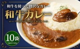 【ふるさと納税】モリタ屋オリジナル和牛カレー10袋 カレー レトルト 肉 お肉 和牛大阪府高槻市/株式会社ミートモリタ屋[AOAI004]