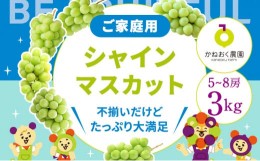 【ふるさと納税】＜2024年先行予約＞【家庭用】完熟シャインマスカット 3kg