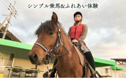 【ふるさと納税】シンプル乗馬＆ふれあい体験