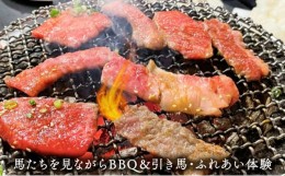 【ふるさと納税】馬たちを見ながらBBQ