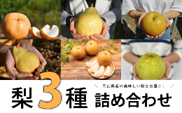 【ふるさと納税】KF-C016【きよとう】梨好きのための、ご家庭用梨3種食べ比べセット