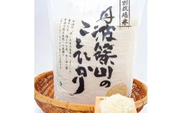 【ふるさと納税】先行予約令和6年産　新米コシヒカリ５kg（予約）9／2発送開始！