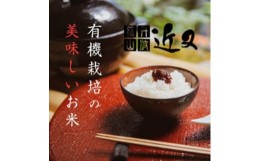 【ふるさと納税】【先行予約】※令和6年産新米※【有機栽培米】丹波篠山産コシヒカリ 2kg