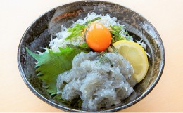 【ふるさと納税】[?5258-0295]絶品！！天晴しらす丼セット 5セット