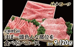 【ふるさと納税】神戸牛 ほぼ一頭色んな部位を食べくらべコース（定期便６回）[620]