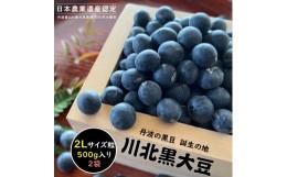 【ふるさと納税】【2023年12月収穫　新豆】川北黒大豆　2Lサイズ粒　500g×2袋　お正月、おせちにも！