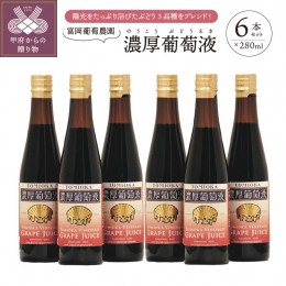 【ふるさと納税】富岡葡萄農園「濃厚葡萄液」280ml×6本セット