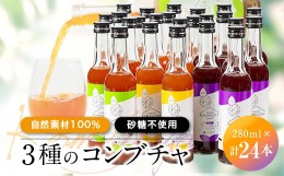 【ふるさと納税】砂糖を使わず「アガベ」で発酵させた「自然素材100%」の3種のコンブチャ　(280ml×24本)【1312546】