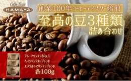 【ふるさと納税】ハマヤコーヒーセット100BR [?5275-0257]