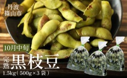 【ふるさと納税】【2024年10月中旬発送】丹波ふるさと村の丹波黒枝豆500g×3(枝なし)