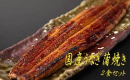 【ふるさと納税】BC-3.【タレ香る伝統の味】国産うなぎ蒲焼き  ２食セット