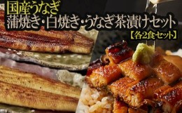 【ふるさと納税】EI-3.【タレ香る伝統の味】国産うなぎ蒲焼き・白焼き・うなぎ茶漬け  各２食セット